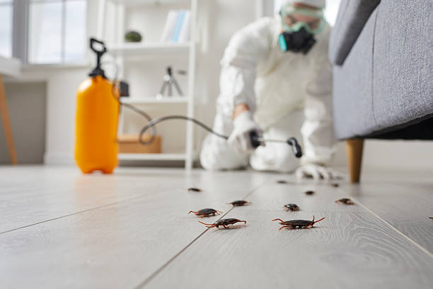 Commercial Kitchen Cockroach Control in Remsenburg-Speonk
